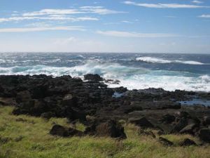 Wind-swept waves tumble towards a rocky shoreline.