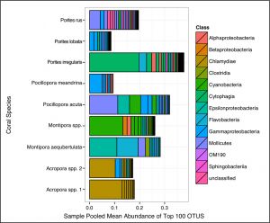 Graph showing nine coral species and the main prokaryotic classes found by analysis in each.