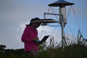 Student standing next to instrument tower examines her laptop amid grasses