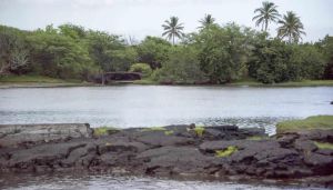 Fishpond with lava rock in forefront and coastal forest in background.