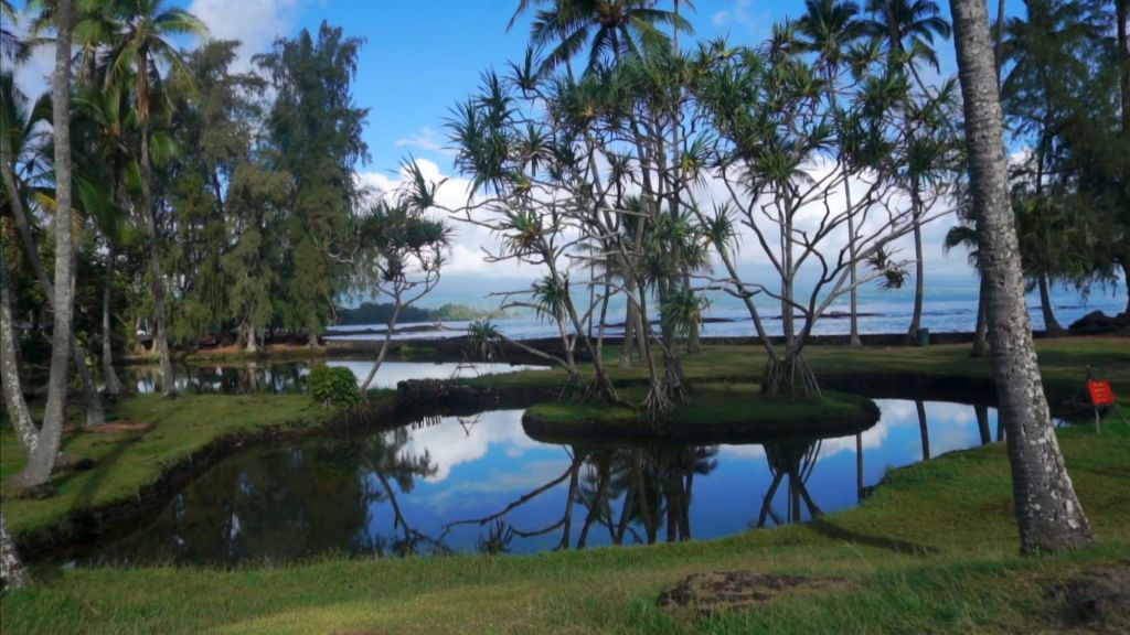 Honokea loko fishpond with still waters reflecting the sky surrounded by coconut trees and containing an island with hala trees on top.