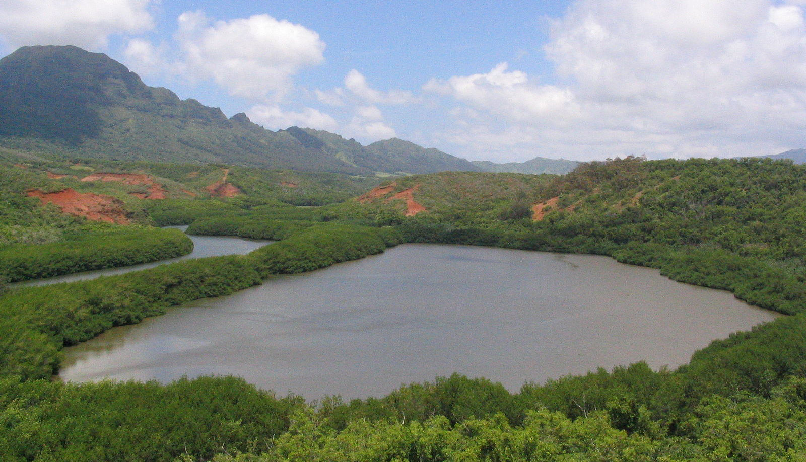 A large pond is surrounded by lush greenery