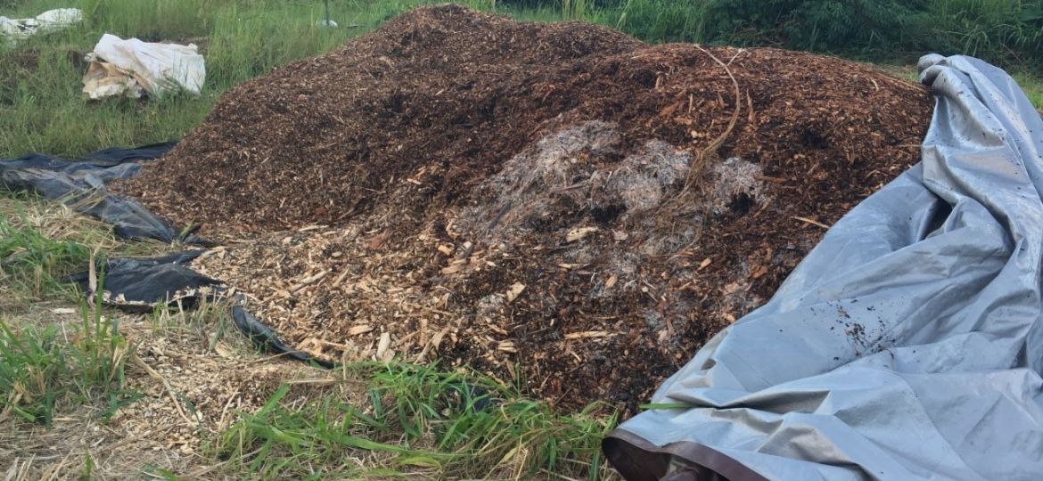 A pile of mulch sits in a green field