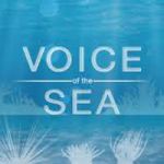 PI-CASC partner Voice of the Sea: TV still relevant for spreading science