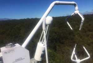 A white instrument in the foreground oversees a dark green background of a lush forest.