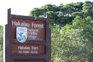Park service sign for the Hakalau Forest National Wildlife Refuge in front of dense forest