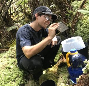 A student examines a sticky-looking sheet amidst a lush forest.