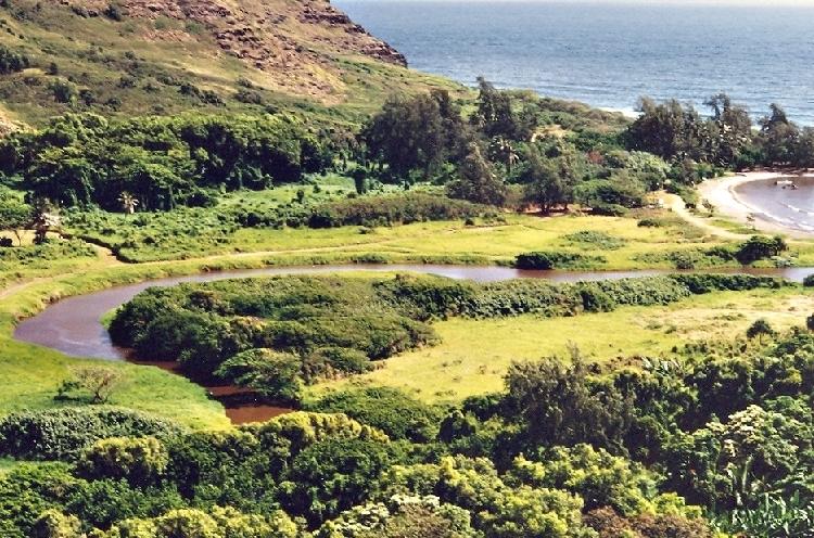 A wide brown stream meanders across lush grass and tree-covered plain into a bay