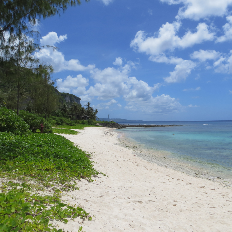 A white sandy beach curves into the distance, bounded by deep green vegetation and aqua waters