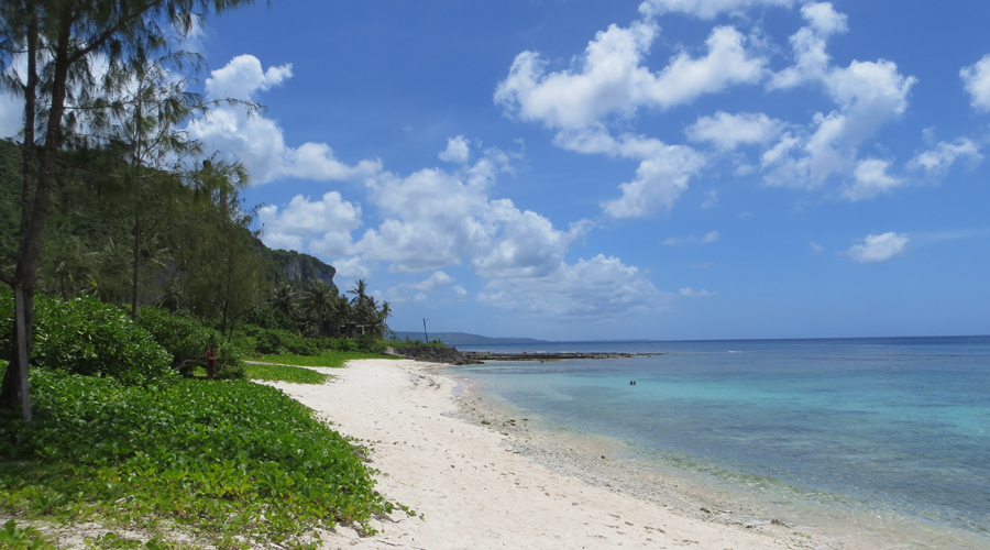 View looking down a white sandy beach with lush green vegetation to the left, and clear, calm, aqua waters to the right, with a deep blue sky above with white puffy clouds