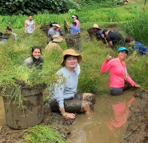 Student and others pose amidst the mud while working an a taro field