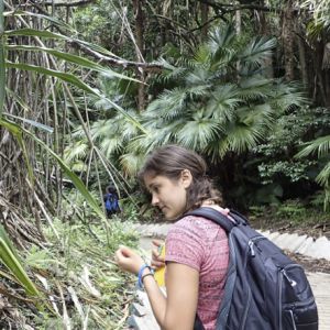 Student examines plants along a greenery-bordered path