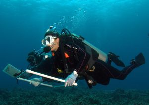 Student scuba dives through dark blue waters holding a surveying grid