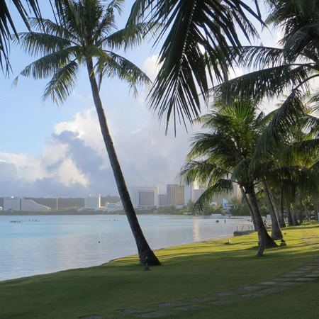 Palm trees front a still bay with hotels beyond