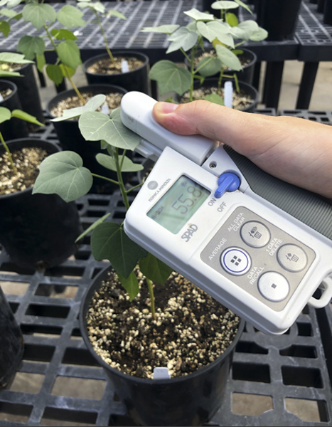 An instrument is being held to a leaf on a potted plant