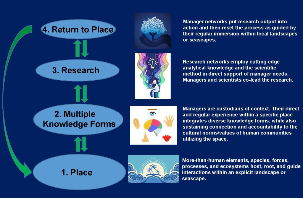 figure demonstrating a research process founded in place through manager's experience that subsequently guides an applied research pathway.