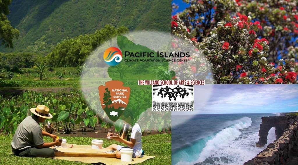 Collage photo of Hawaii places (forest, blooming red ohia tree, NPS park ranger and youth pounding kalo/taro, and sea arch along the ocean). The picture has three logos for partners in the middle (PICASC, NPS, Volcano School) and a Hawaii Island inset.