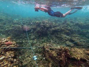 Woman underwater holding camera and looking down at a target