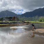 Resource habitat mapping and diet characterization of native and non-native mullet species in Heʻeia Fishpond