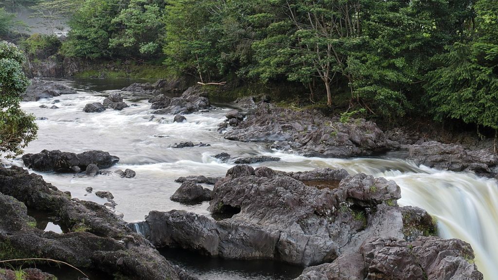 A wide, chaotic streambed is flanked by green trees and underlain by irregular pahoehoe lava rocks.