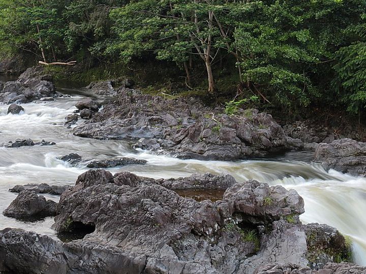 A wide, chaotic streambed is flanked by green trees and underlain by irregular pahoehoe lava rocks.