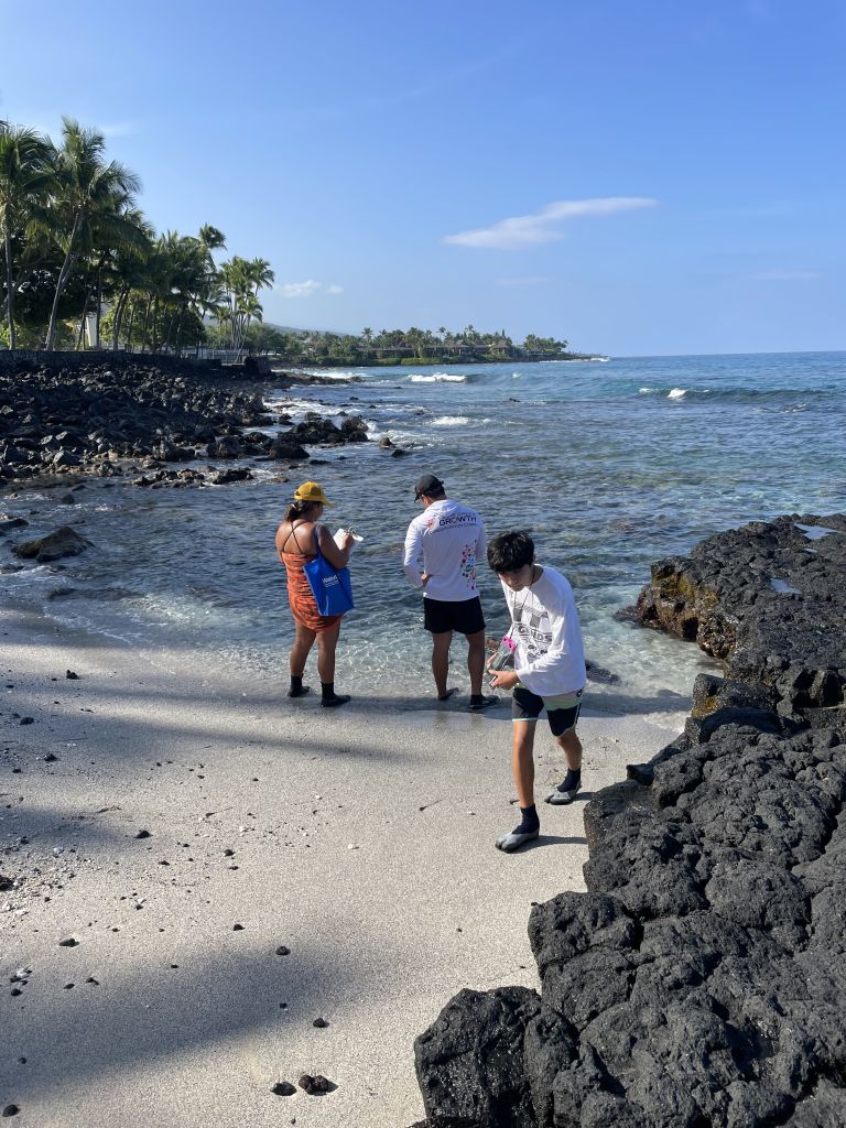 Two students stand recording data at the water’s edge near a black rocky outcropping, while another student walks up the sand.