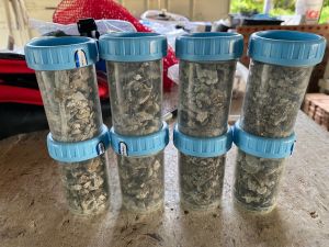 Small containers filled with seabird guano are stack on top of each other.