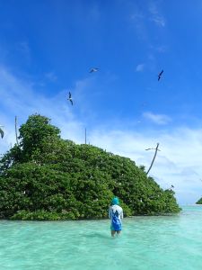 a woman, back facing camera, is standing in knee-deep water and observing seabirds fly over a small island.