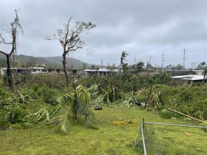 Fallen trees surround a few leafless trees. Houses are seen off in the distance.