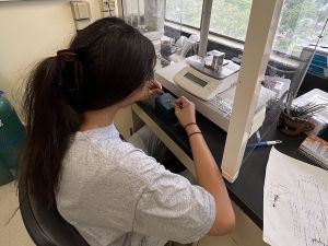 Three-quarter profile view of a student sitting at a desk manipulating tweezers on small samples, with a digital scale in front of her.