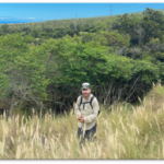 Pacific RISCC December Webinar - Modeling Vegetation Communities to Inform Restoration in Hawaiʻi