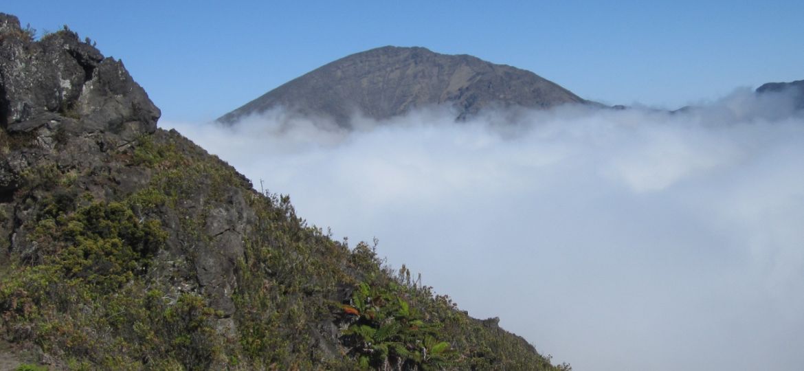 This is a photograph of a high-elevation ecosystem in Hawaiʻi with cloud cover in the middle-ground.