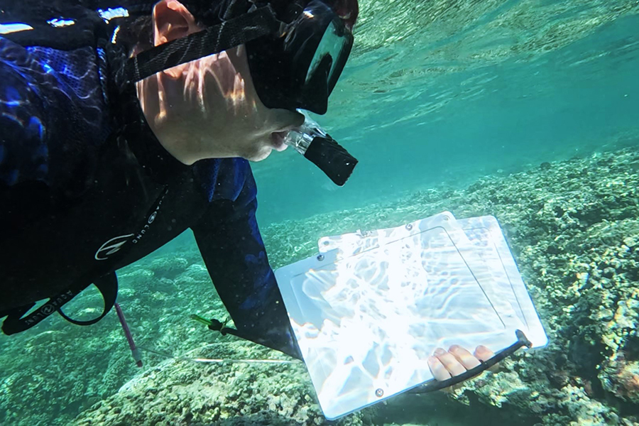 A student, holding a sun-dappled clipboard, snorkels in shallow water above a coral reef