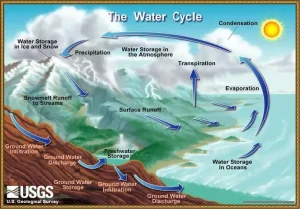 Infograph of water cycle