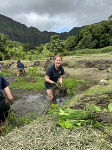 Group working together to pull weeds in taro patch.