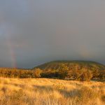 In dusky tinted lighting, dry golden grasses stretch back to a lowland dry forest, with a low, green-covered volcanic cone behind, and a dim rainbow off to the left