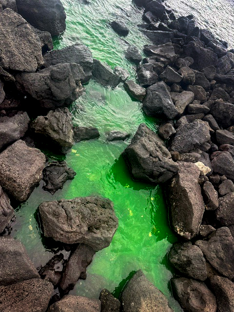 Green ocean water from the dye.