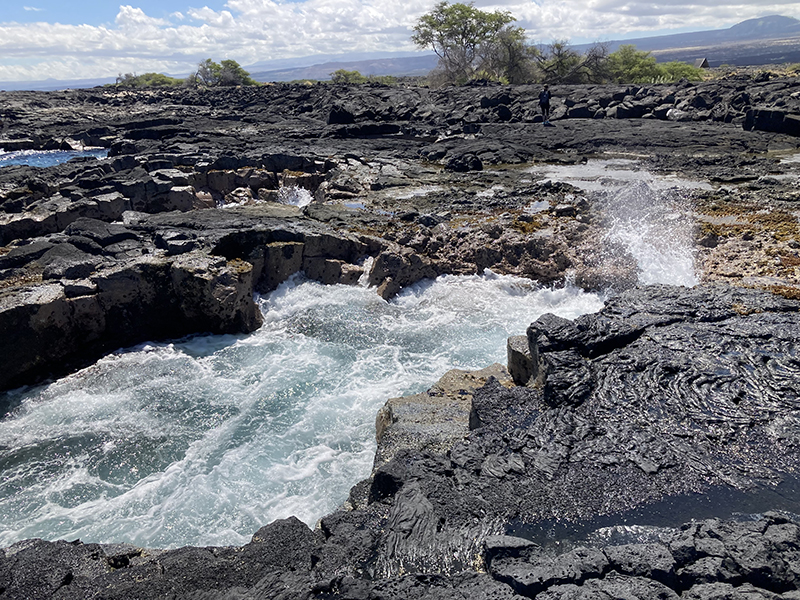 Ocean waters fill basaltic rocky inlets, and form shallow tide pools further up the bench