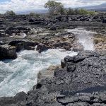 Ocean waters fill basaltic rocky inlets, and form shallow tide pools further up the bench