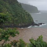 Steep vegetated cliffs plunge to coastal ocean waters, some of which are noticeably brown compared to bluer waters further out from the land.