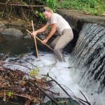 Climate impacts on native and non-native fishes in Hawaiian streams