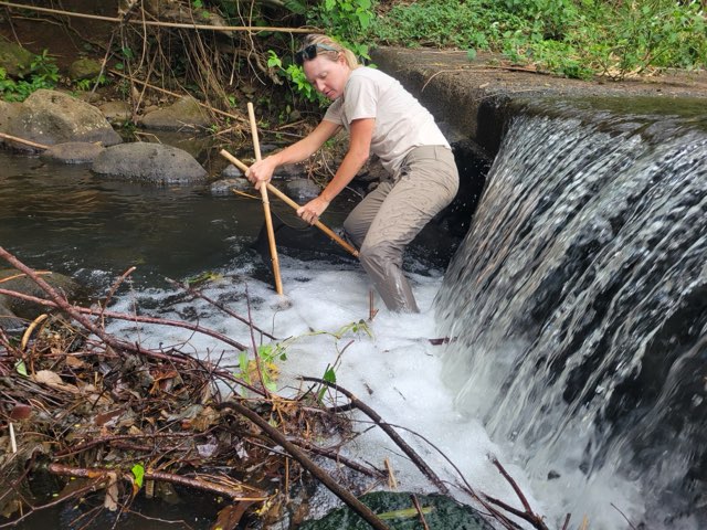 LeighStream2