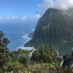 Kāhuli Conservationists: Caring for the small things to care for the larger honua