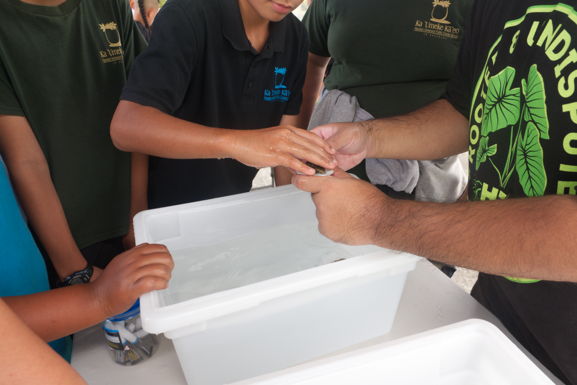 Photo of students gathered around a bin filled with water and coral fragments