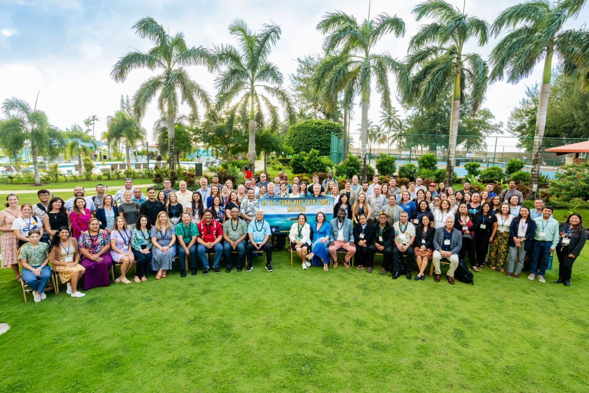 A large group of people are positioned for a photo in an outdoor setting, with palm trees visible in the background.