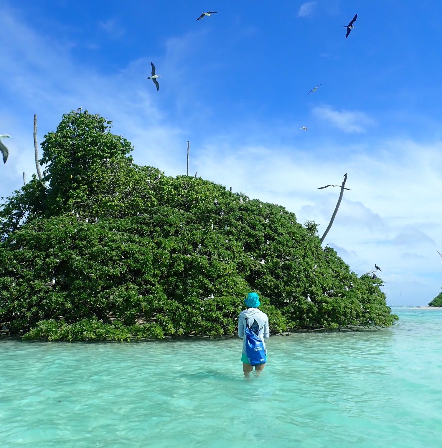 Jessica stands in the water as she watches seabirds