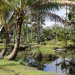 Photo of landscape Hui Hoʻoleimaluō