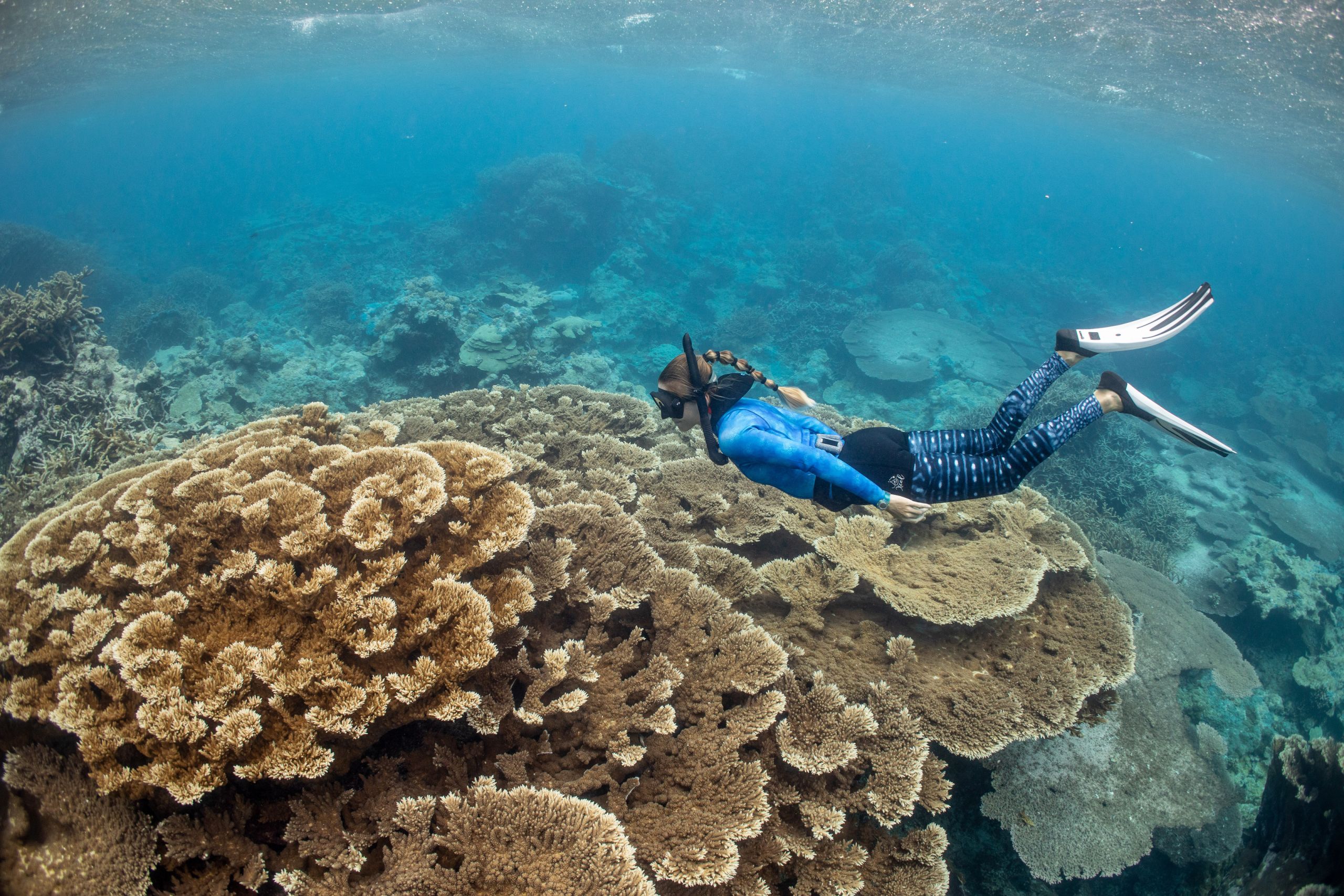 Jessica scuba diving of a coral reef.