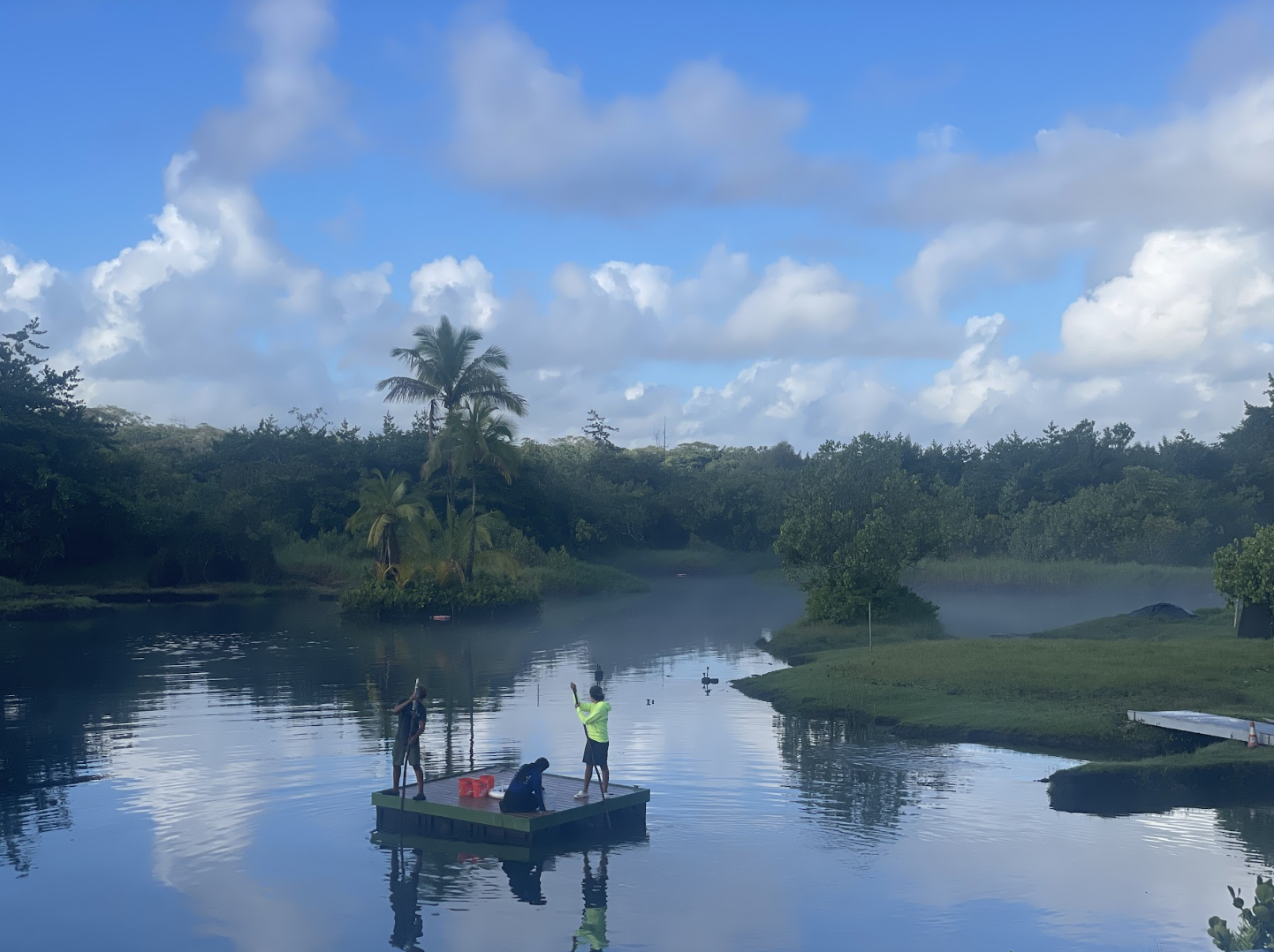 Fishpond stewards stand on a platform as they observe the water.