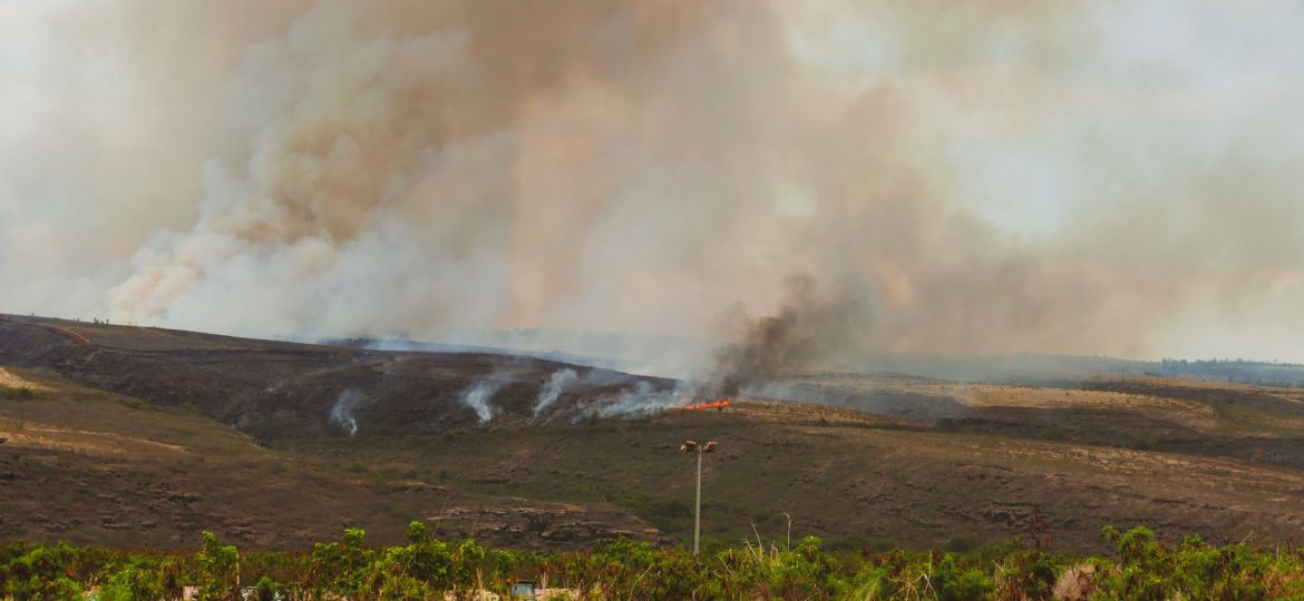 Fire in Waimea Canyon